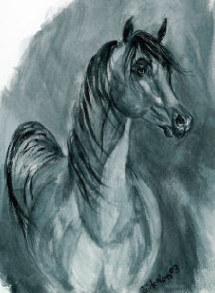 Arabian Spirit