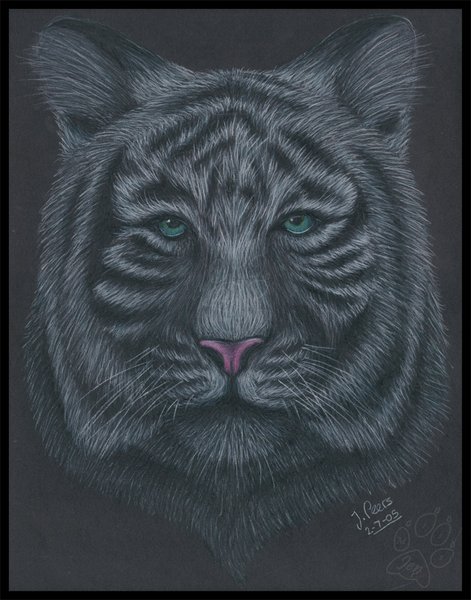 White Tiger