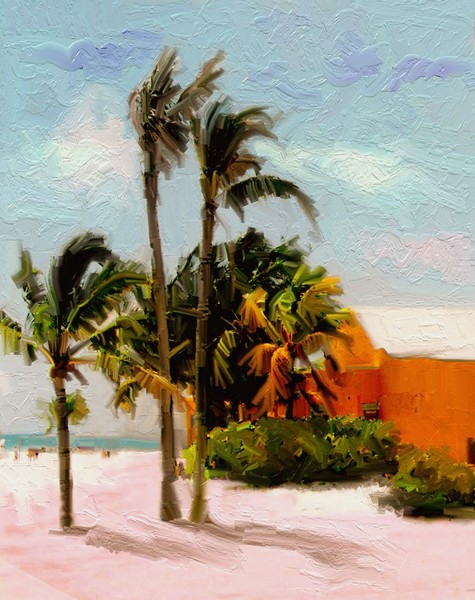 Bahamas Palms