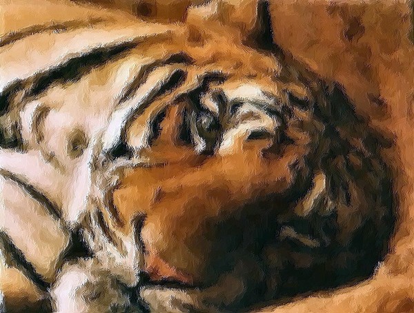 Tiger Head Painted