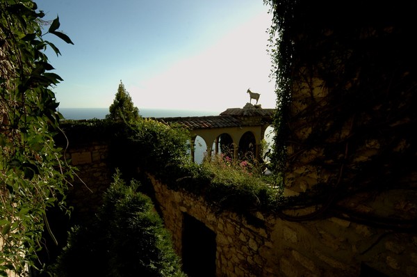 Goat on the roof in Eze, France