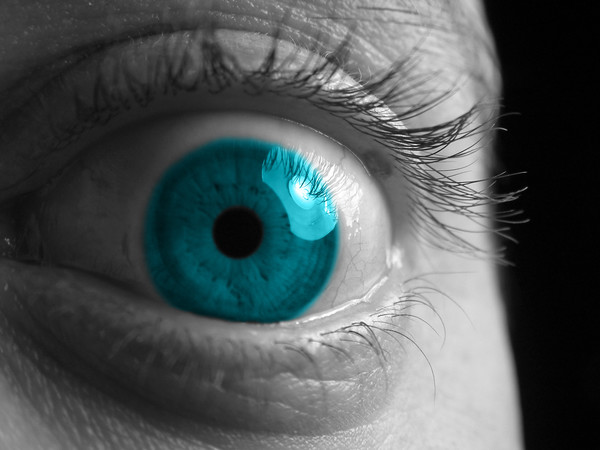 Inside the Eye