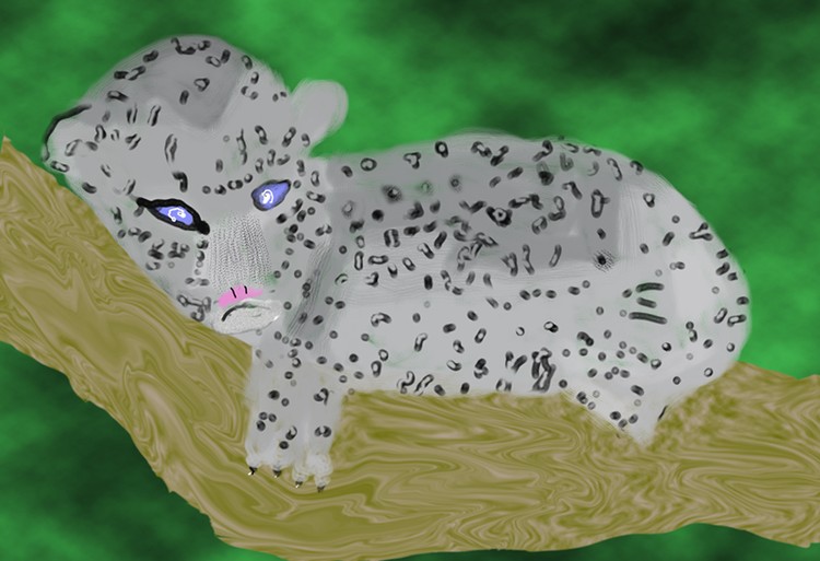 Leopard Kitten P177