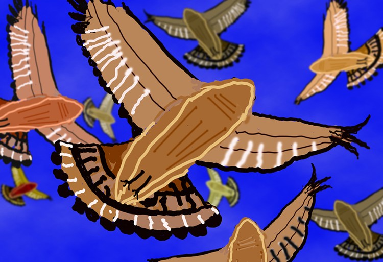 Flock a' Falcons  P251