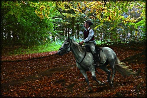 At The Gallop