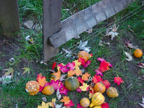 Fall by the Gate