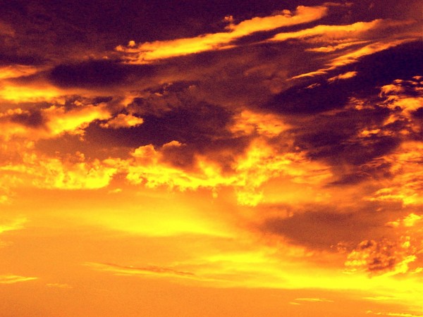 The Golden Light