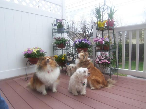 TIME TOO SMELL THE  FLOWERS