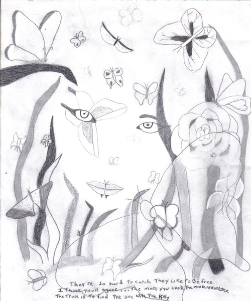 Spirit of the butterflys