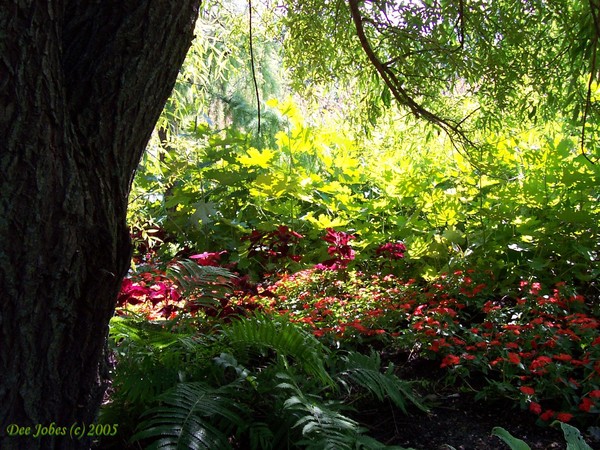 A glimpse of eden