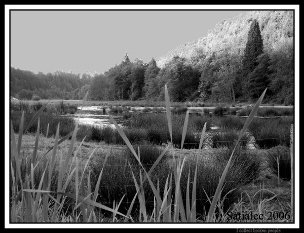 Rainier Lake Basin