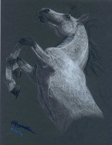 shadowfax