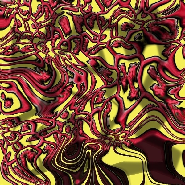 What do you see?