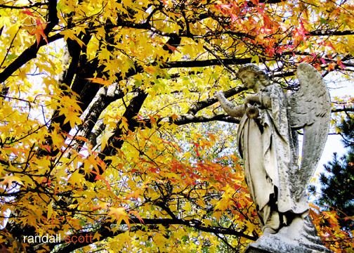 Dwelling in Colours