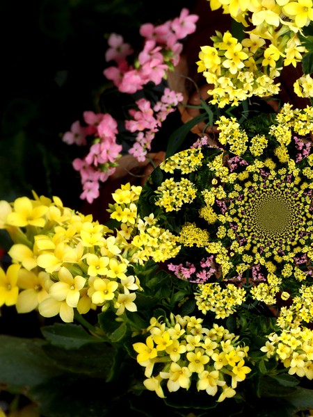 Bouquet Of The Day (Three)