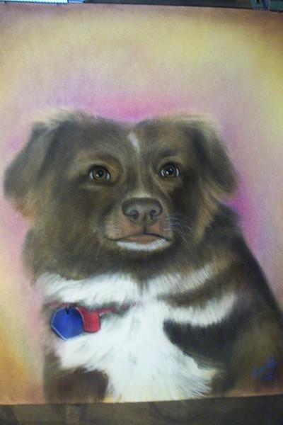 Dog portrait