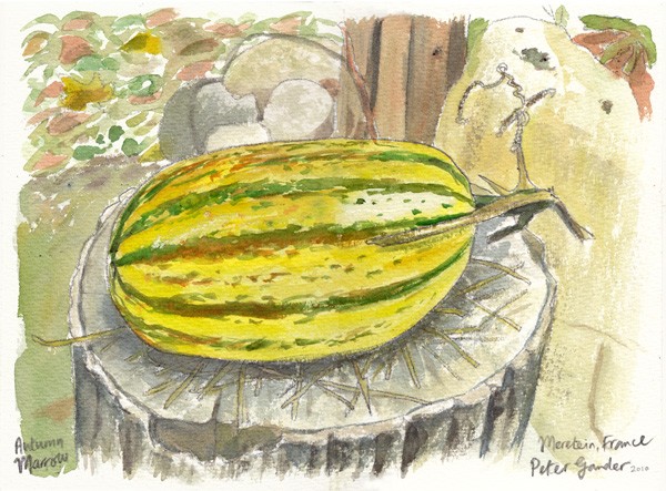 Autumn marrow