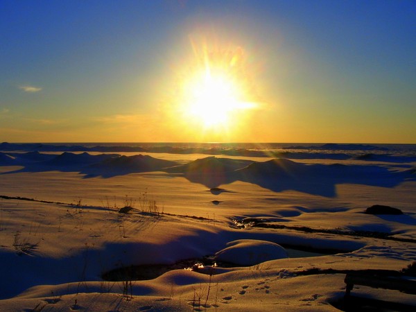 sunspot