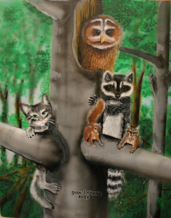 Cat squirrel kitten racoon owl