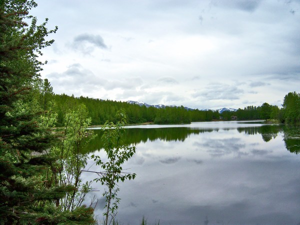 Cheney Lake Reflections II