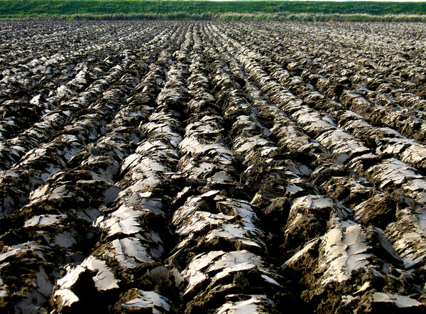 ploughed land