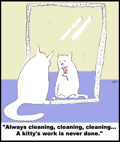 A Kitty's Work