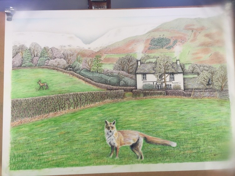 Fox