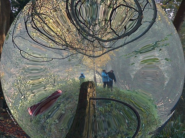 The Woodland as seen through a Raindrop.