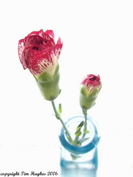 'Rouge, Blanc et Green'