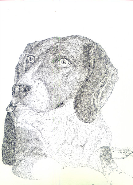 Beaglie beaglie