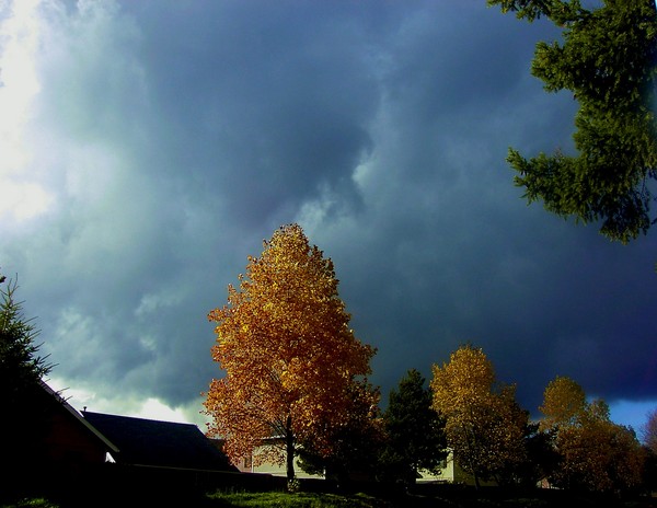 Flaming Shades of Fall