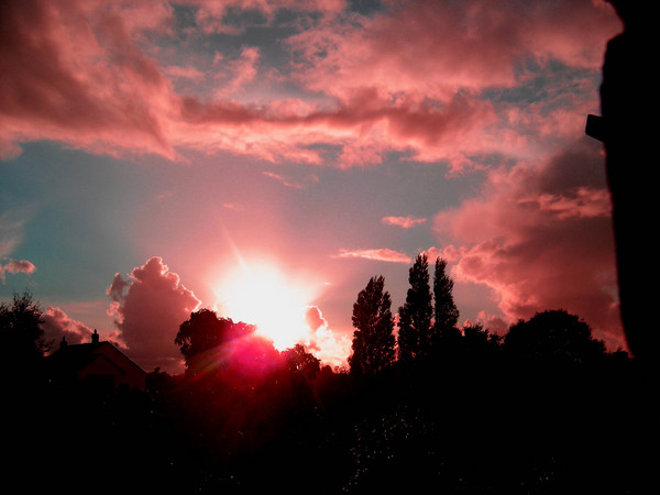 Another Sunset