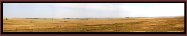Vastness