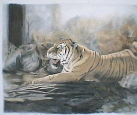 Mists of India