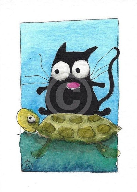 Turtle ride