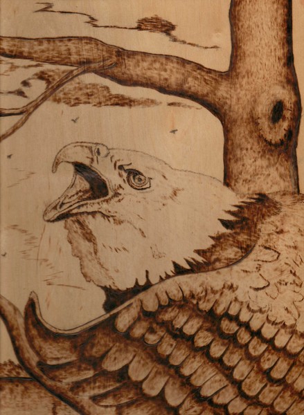 Eagle one