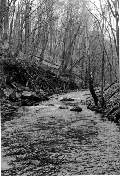 River