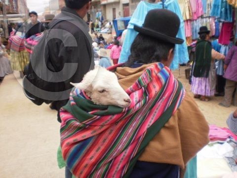 cargando a su guagua.