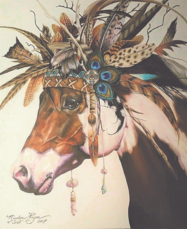 apache pinto 2