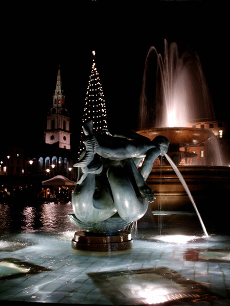 Trafalgar Square and its Tree