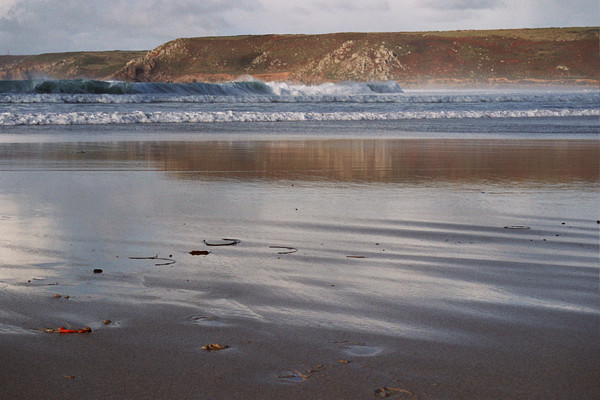Autmn Swell