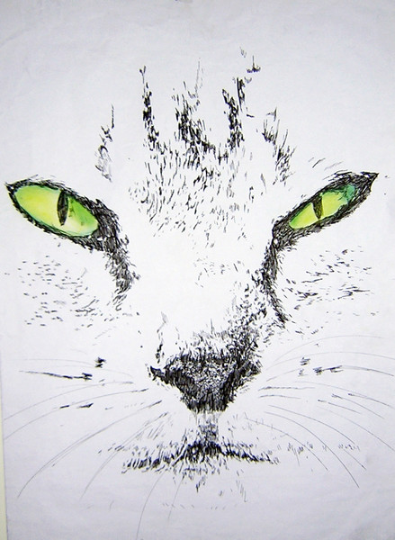 Cat face 2002