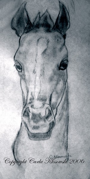 Colt
