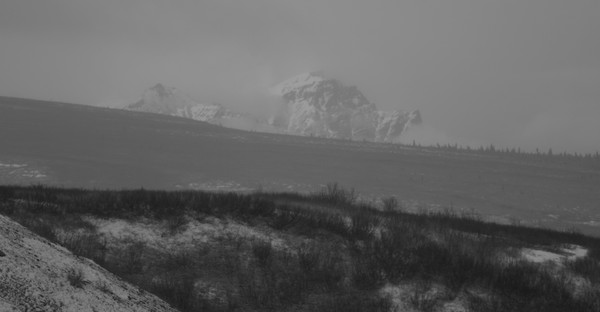 Sentinel