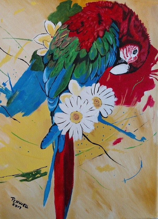 pretty bird 