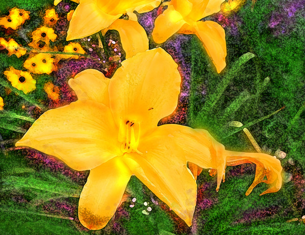 YELLOW BLOOMS ON MY MORNING ZEN WALK