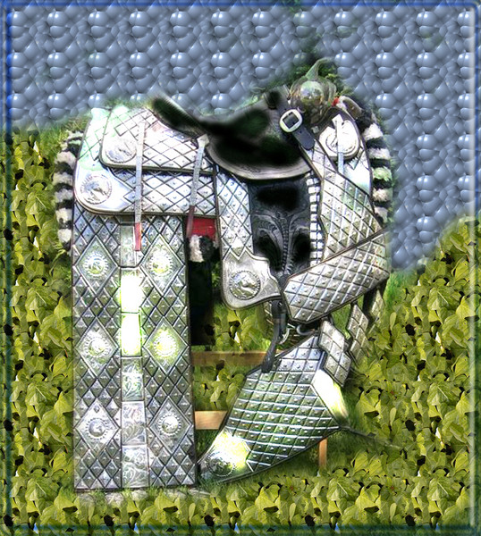 SILVER EMBELLISHED SADDLE FROM MEXICO