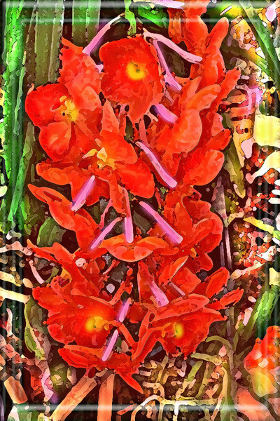 HANGING SPRAY OF SCARLET ORCHIDS