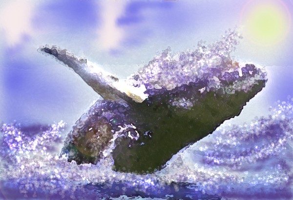 HUMPBACK WHALE MAKING HER LAST DIVE