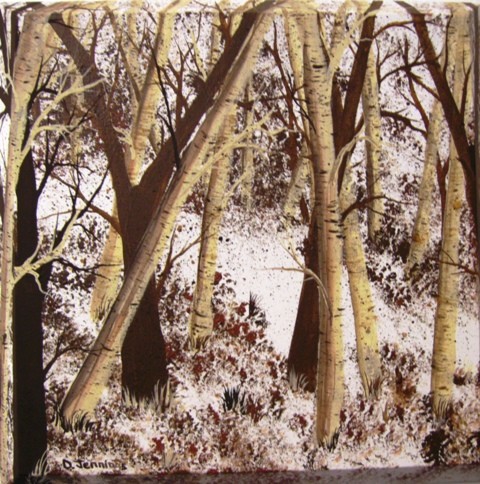Brown Birch Tree Walk